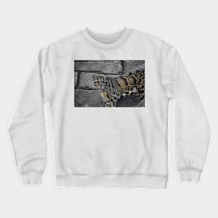 Clouded Leopard Crewneck Sweatshirt